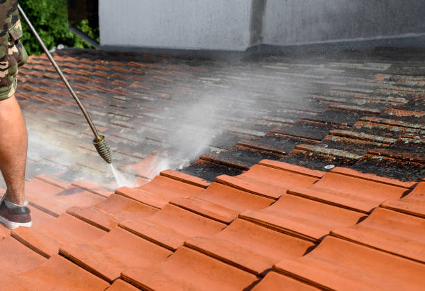 Professional Pressure Washing in Clifton, CO