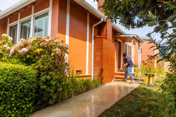 Best Pressure Washing Near Me  in Clifton, CO